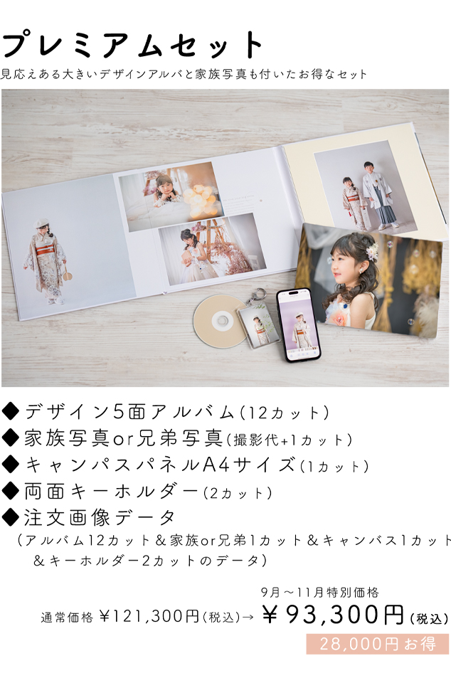 プレミアムセット 93,300円